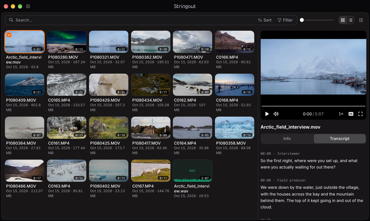 Stringout library with northern-lights, mountain and fjord footage, alongside a field-interview recording and a long speaker-labelled transcript.